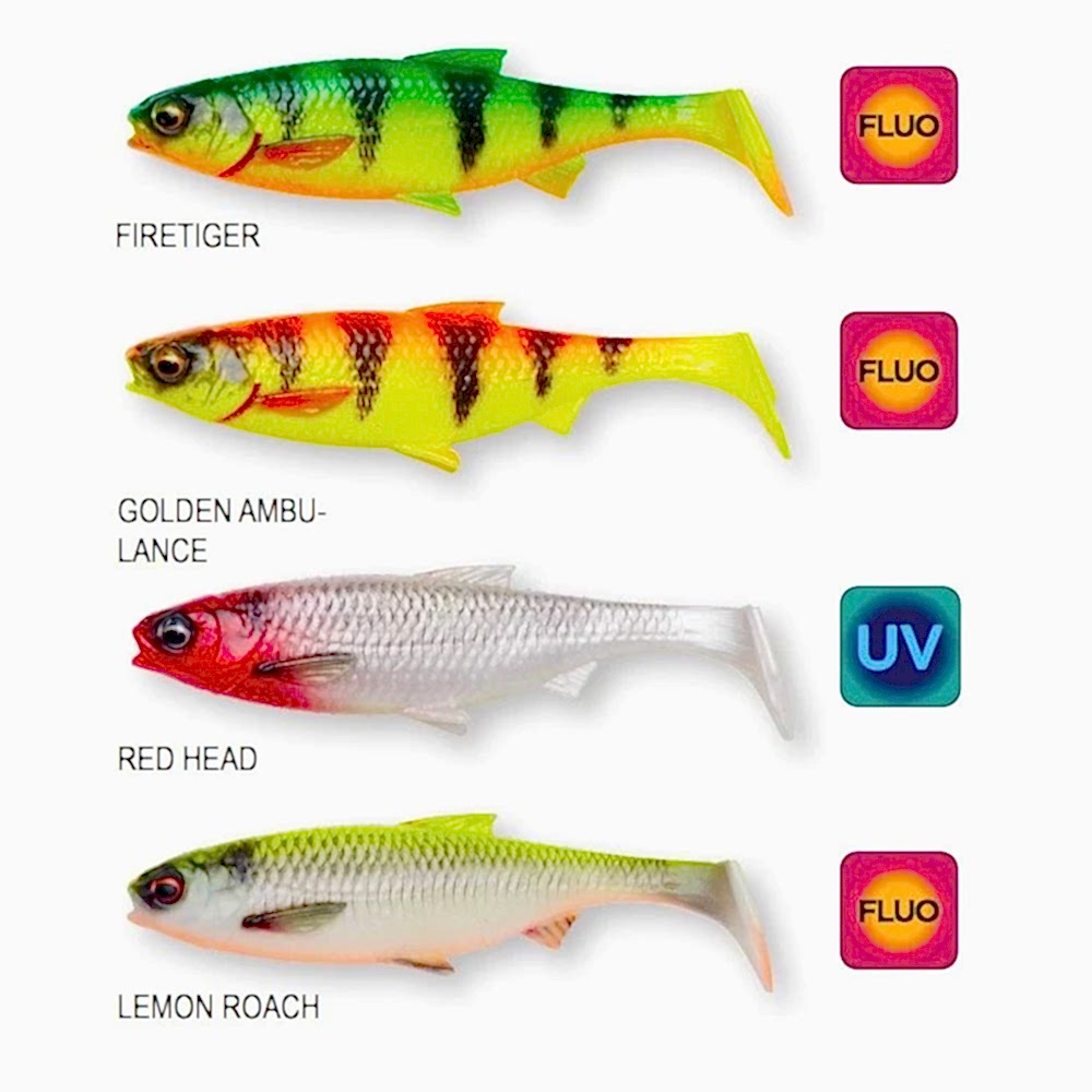 2 jpg6697c 2 jpg6697c