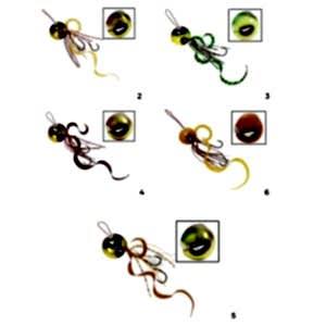 se172 100 1 jpg6669a